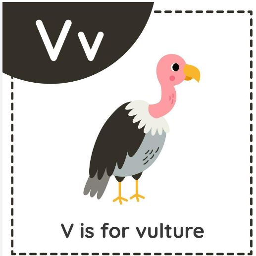 V Is For Violin - Royalty Free Clipart Picture